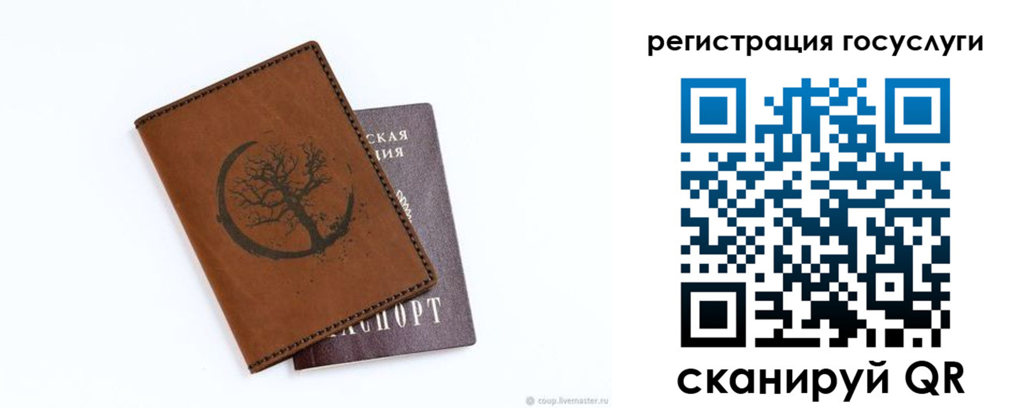 прописка для школы в Светогорске